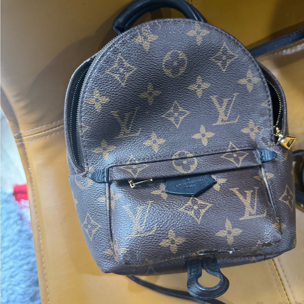 Louis Vuitton Monogrammed Palm Springs mini back pack - Picture 14 of 16